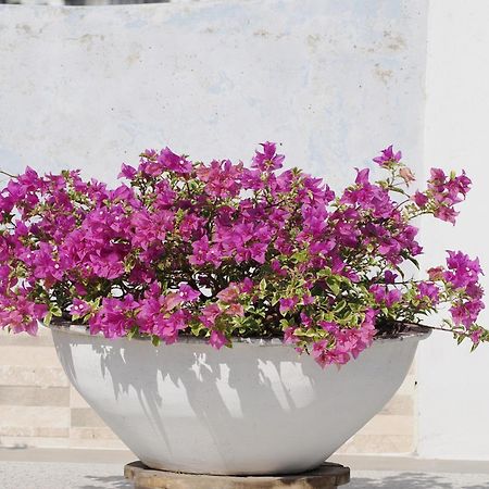 Hotel Casa Cytia Cartagena Luaran gambar