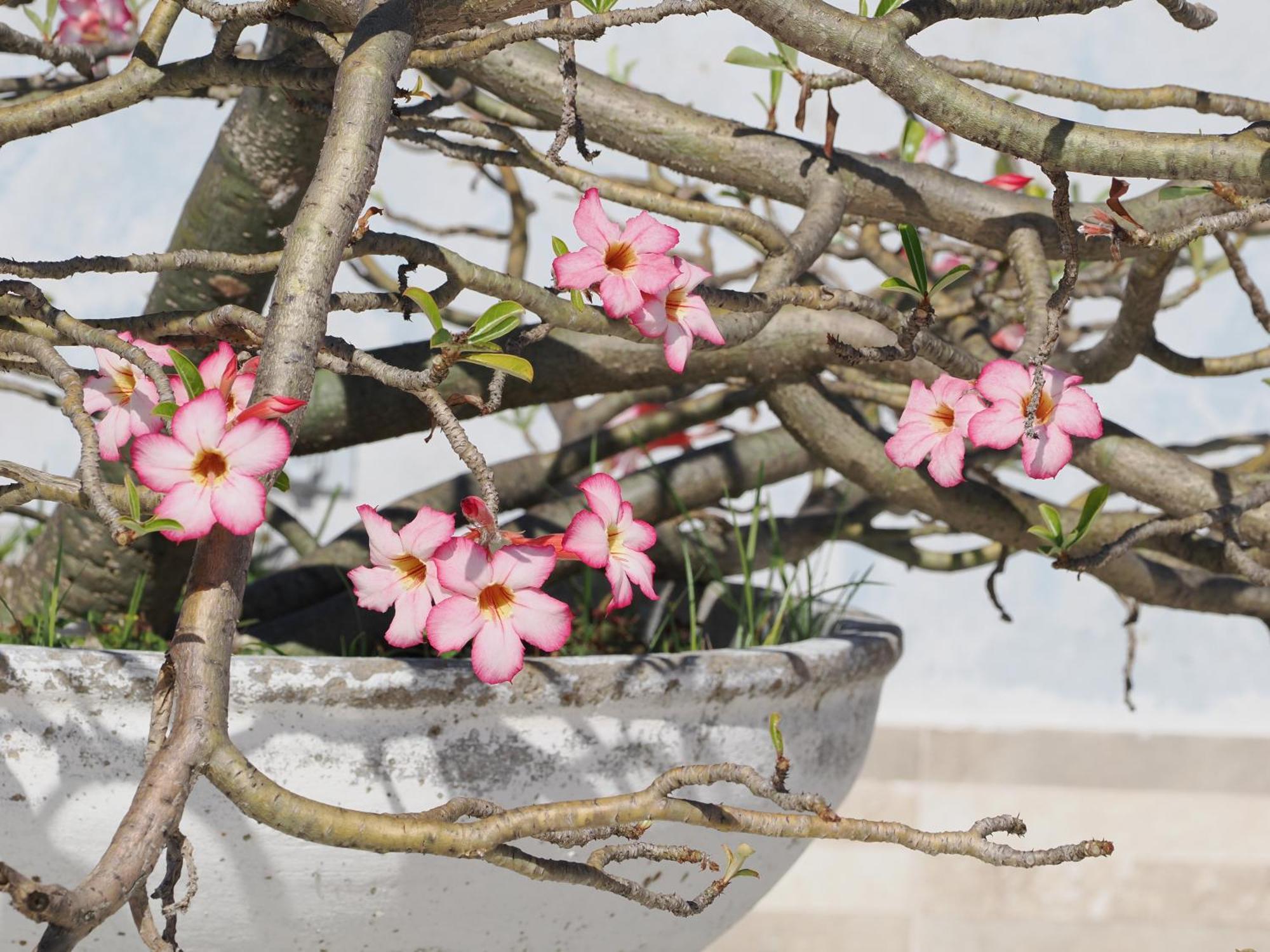 Hotel Casa Cytia Cartagena Luaran gambar