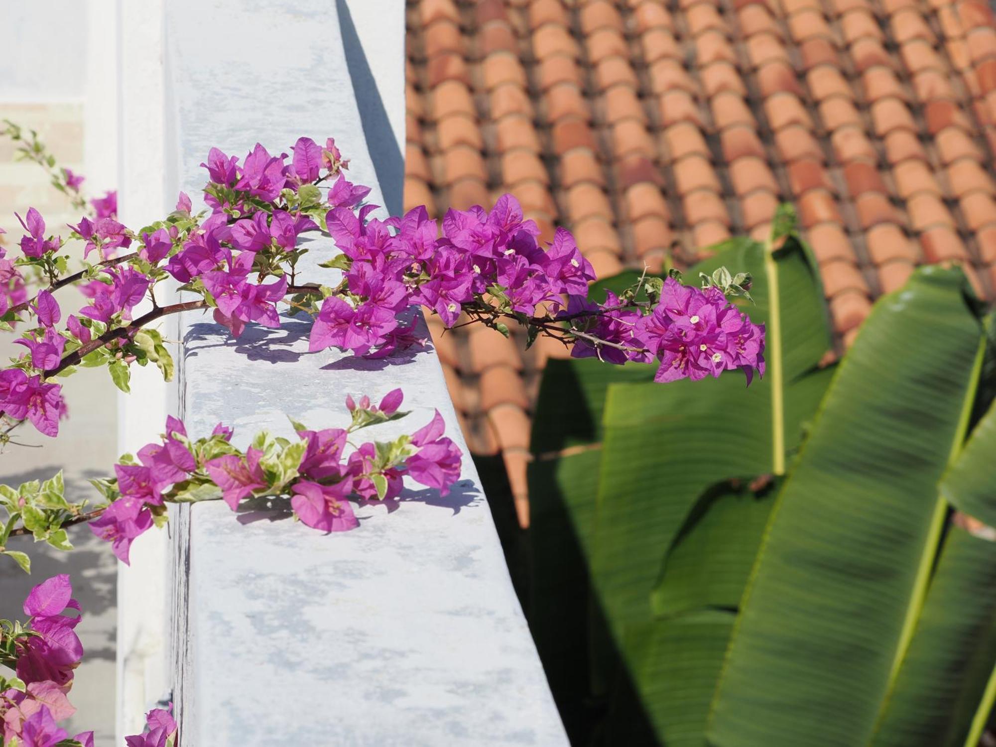 Hotel Casa Cytia Cartagena Luaran gambar