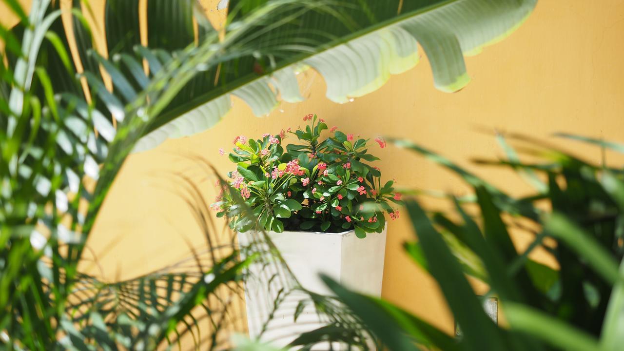 Hotel Casa Cytia Cartagena Luaran gambar
